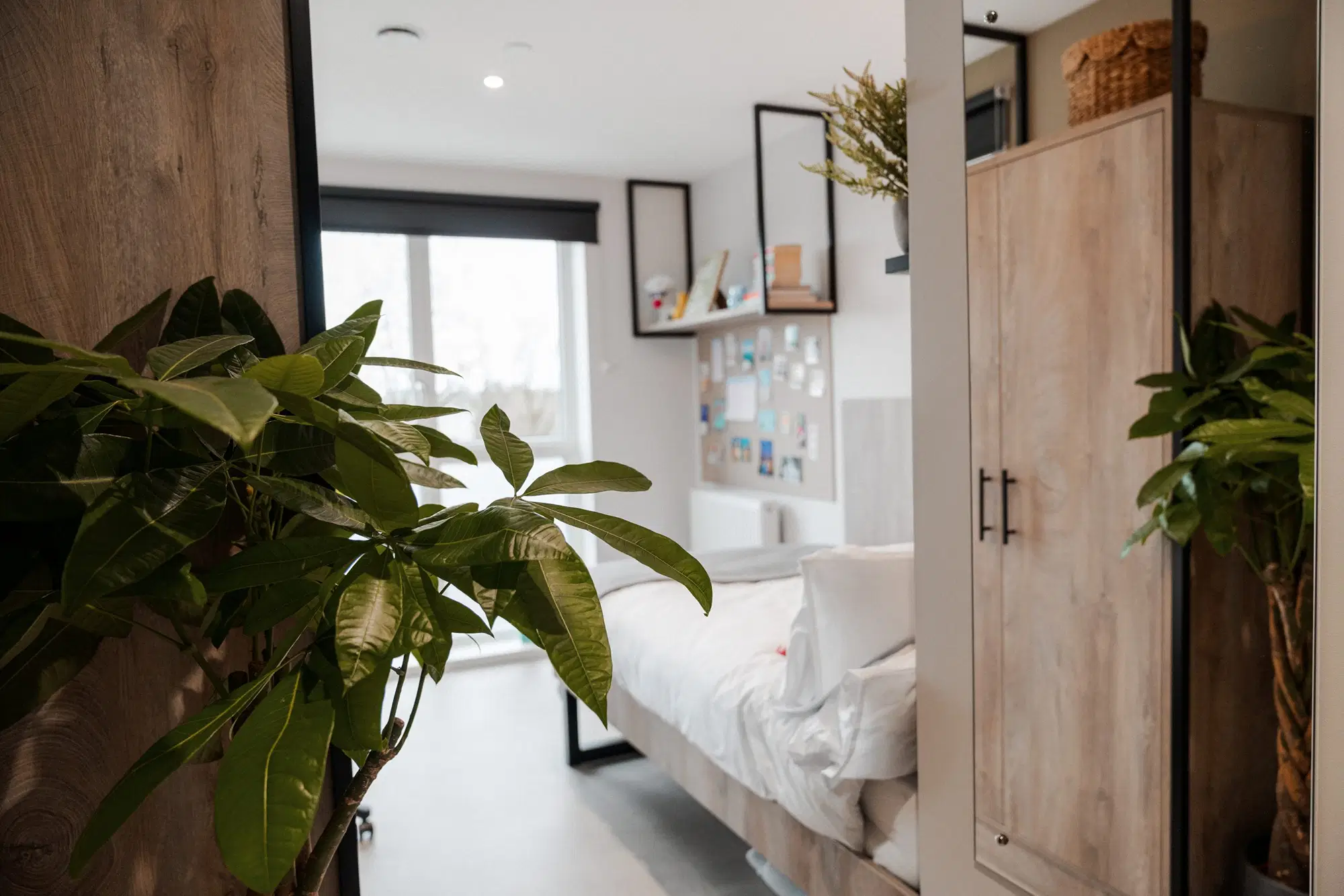 YourTRIBE Southwark, London – Ensuite
