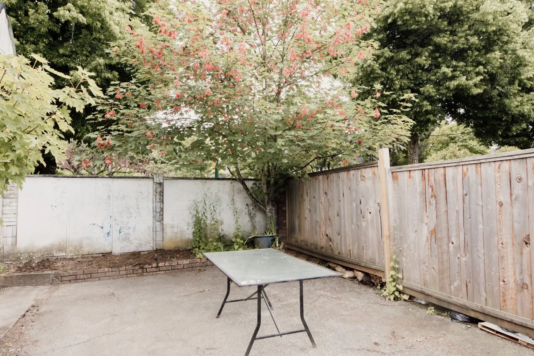 2096 E Pender St, Vancouver – Common Area