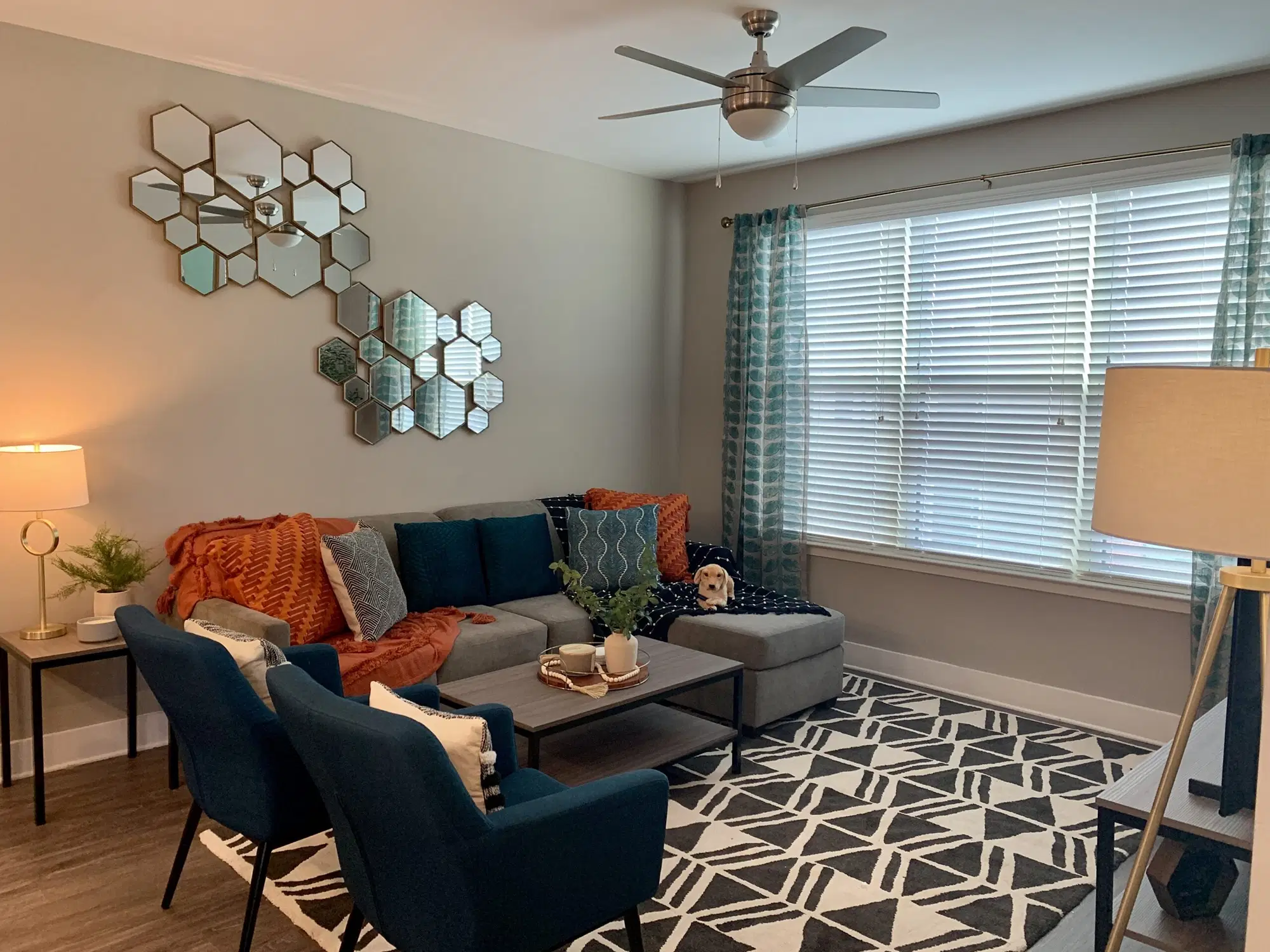 The Standard At Tallahassee, Tallahassee – Common Area