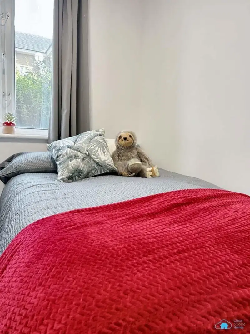 Rochester Student Village, Rochester – Classic En-suite Dolphin House