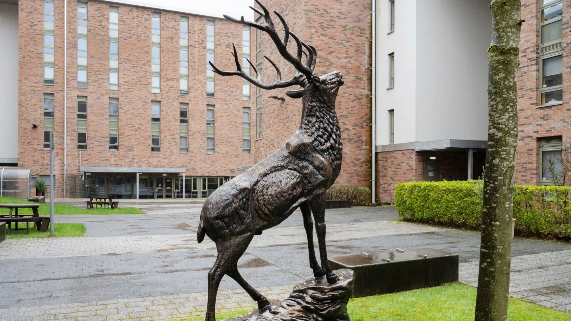Foundry Courtyard, Glasgow – Exterior