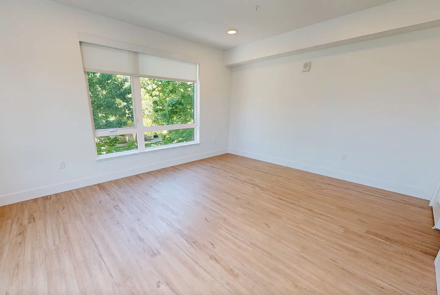 The Bernice, Sacramento – Studio