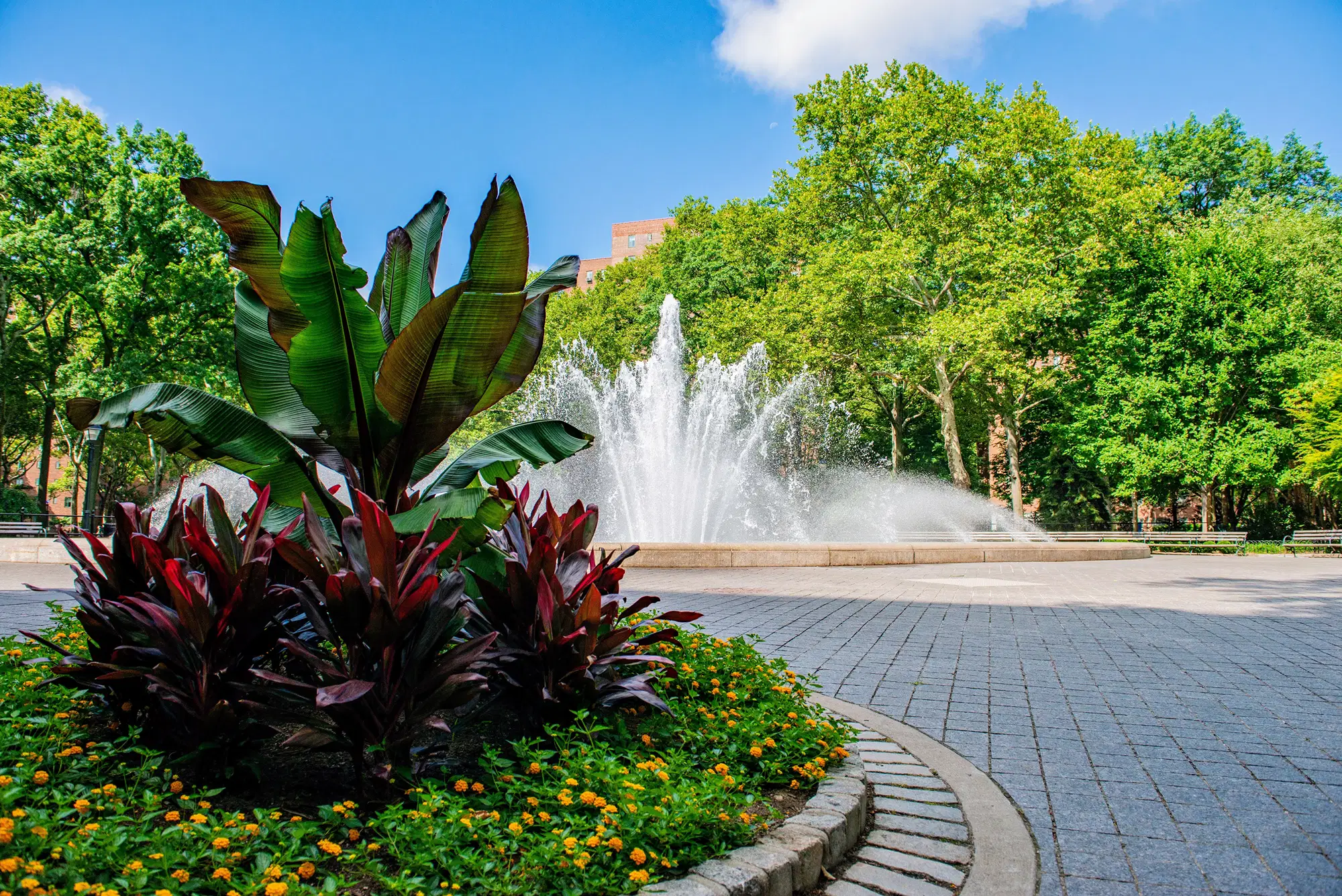 Peter Cooper Village, New York City – Common Area