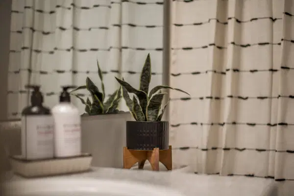 Elevate on Cascade, Tallahassee – Amenities
