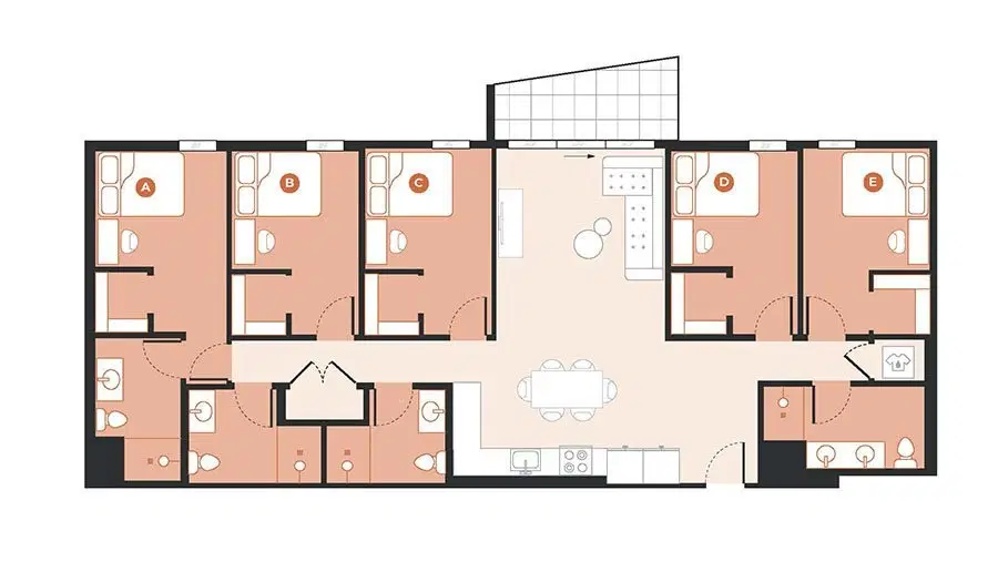 Hub on Campus Tampa, Tampa – 5 Bed 4 Bath