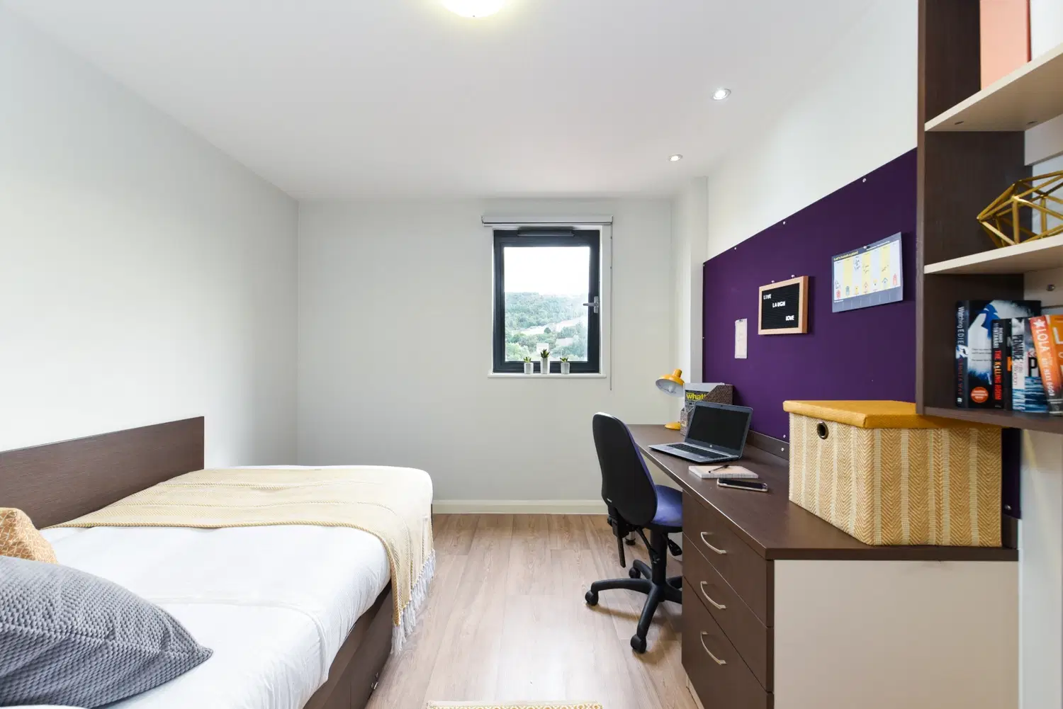 St Davids, Swansea – Ensuite Gold
