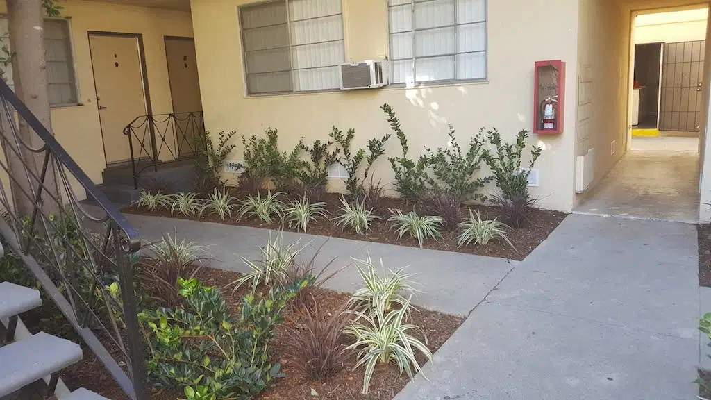 South Olive Apartments, Los Angeles – Common Area
