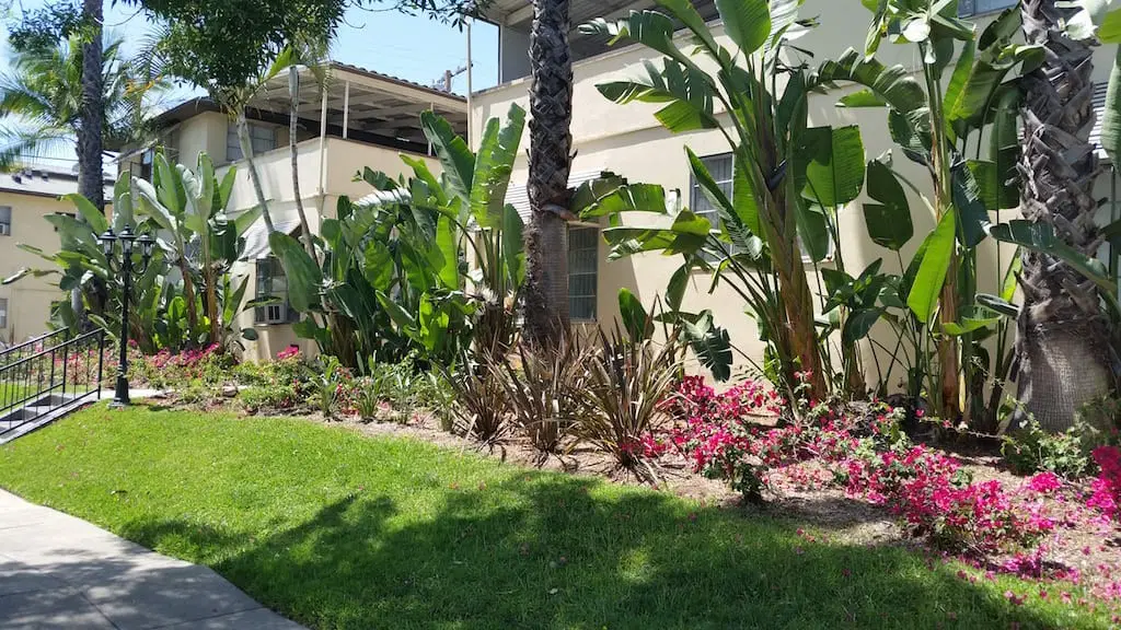 South Olive Apartments, Los Angeles – Common Area