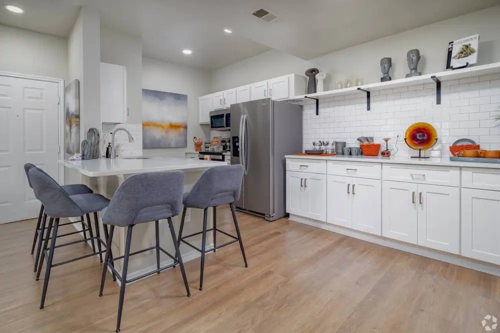 Nova Vista, San Antonio – Kitchen