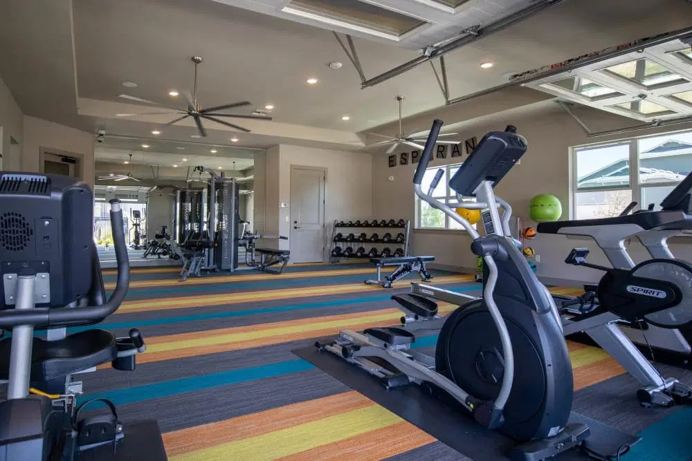 Esperanza Apartments, San Antonio – Amenities