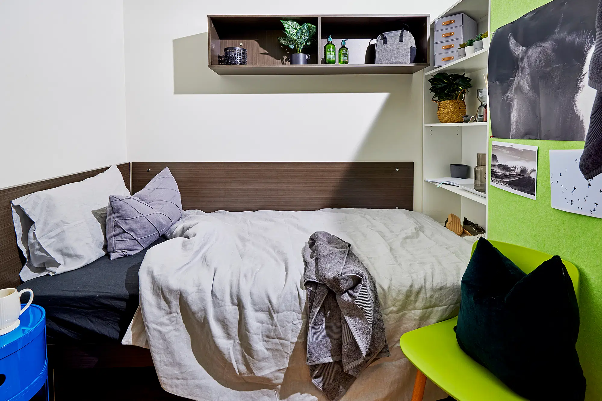 Scape At University Of Sydney, Sydney – Ultra Twin, King Single Bed