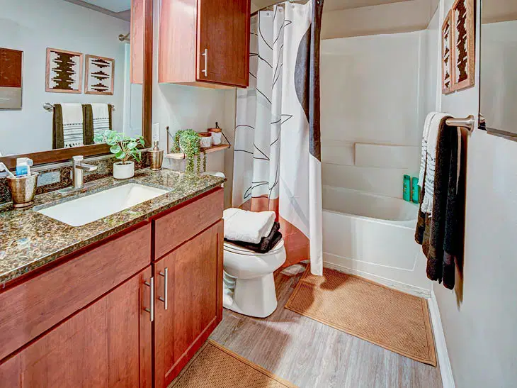 601 Copeland, Tallahassee – Bathroom