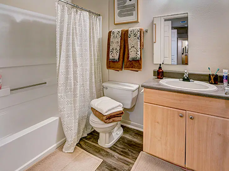 University Village, Tallahassee – Bathroom
