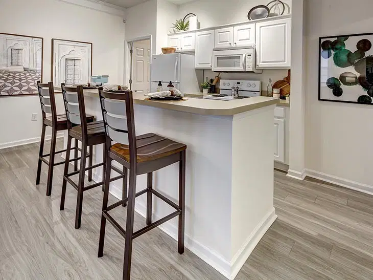 The Province, Tampa – Kitchen