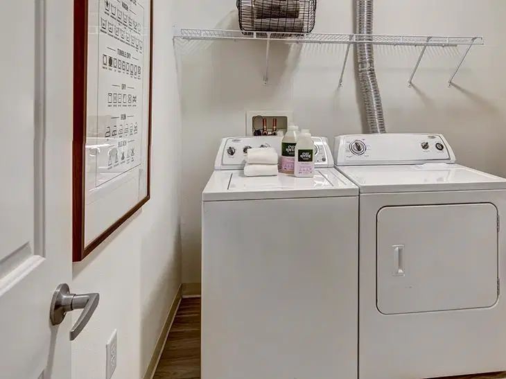 The Province, Tampa – Amenities