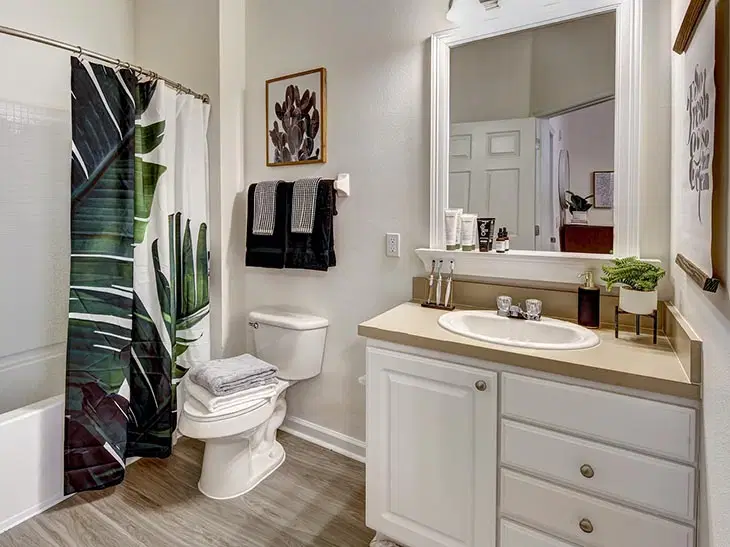 The Province, Tampa – Bathroom