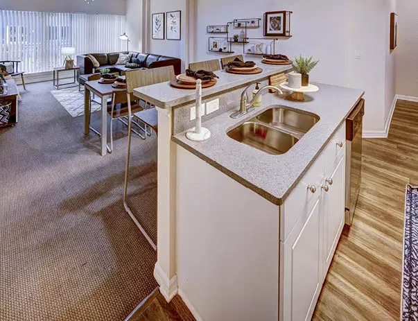 Avalon Heights, Tampa – Amenities