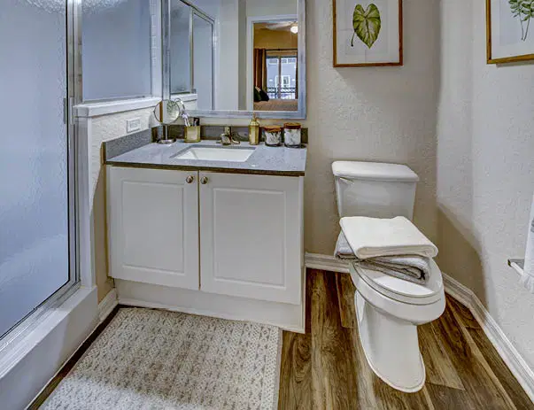 Avalon Heights, Tampa – Bathroom