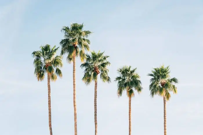 Gateway at Tempe, Tempe – Amenities