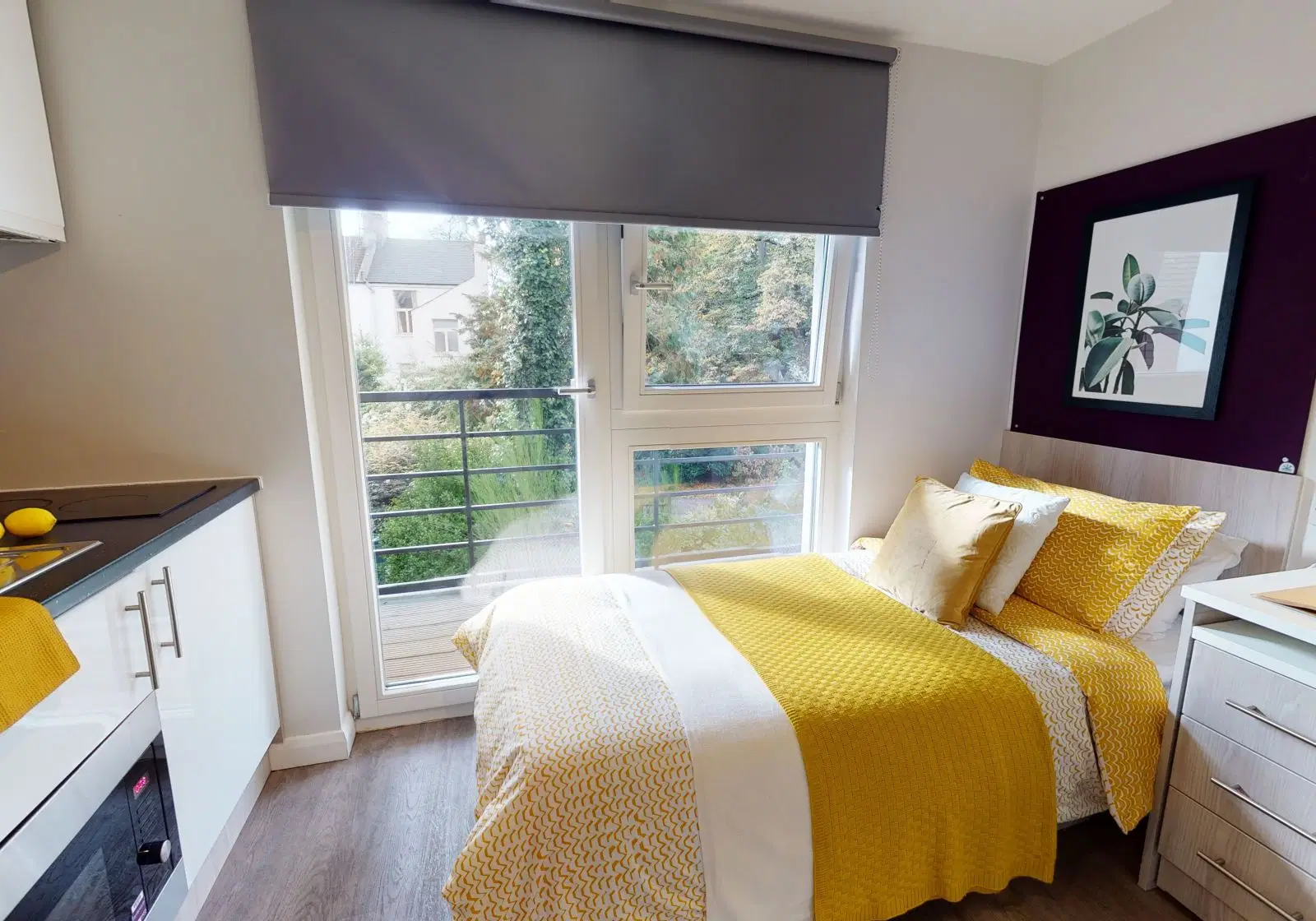iQ Sawmills, Brighton – Gold Studio