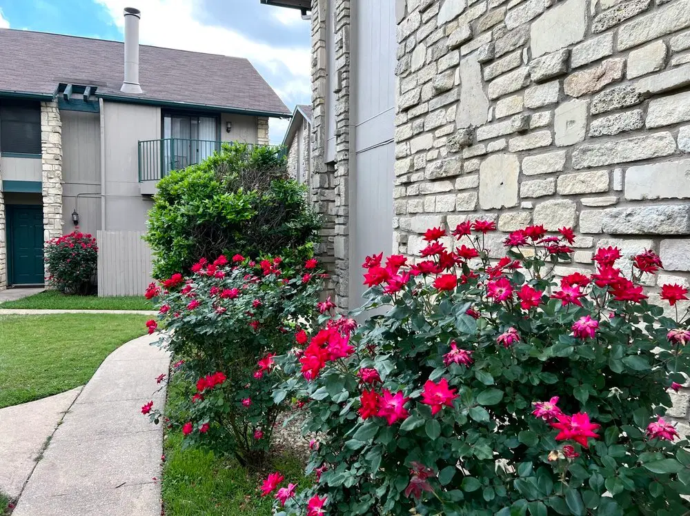 Woodwillow Townhomes, Austin – Exterior