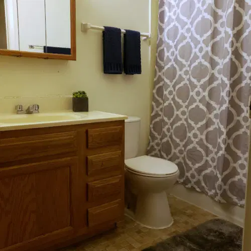 Element on Main, Urbana – Bathroom