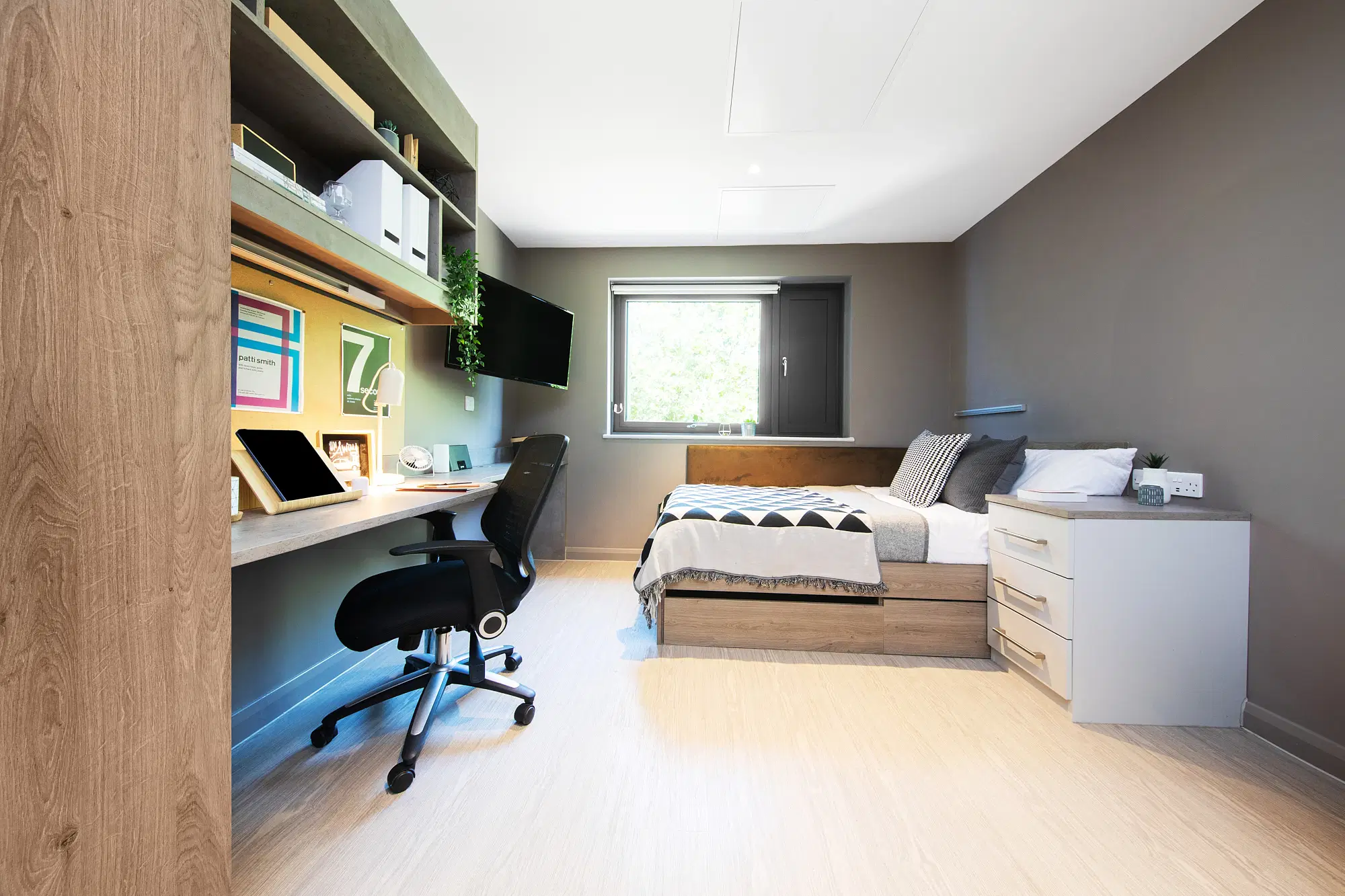 Collegiate Eclipse, Cardiff – Studio Plus
