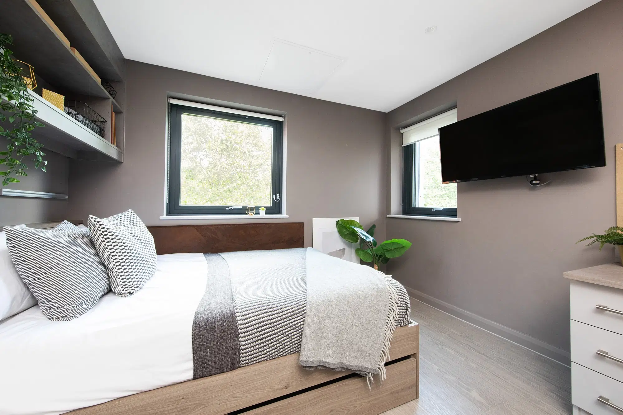 Collegiate Eclipse, Cardiff – Compact Studio