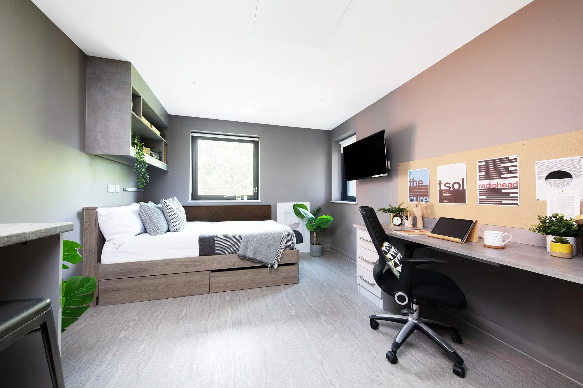 Collegiate Eclipse, Cardiff – Premier Studio