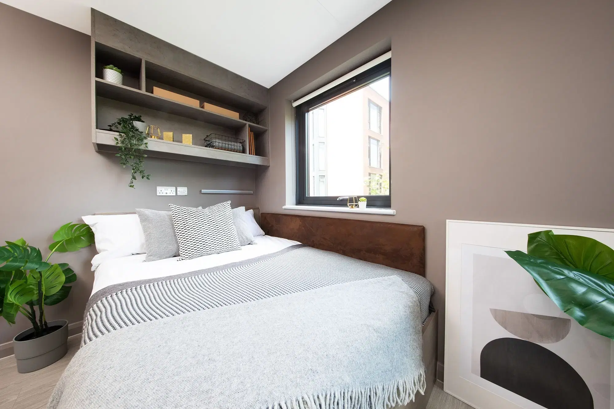 Collegiate Eclipse, Cardiff – Platinum Studio