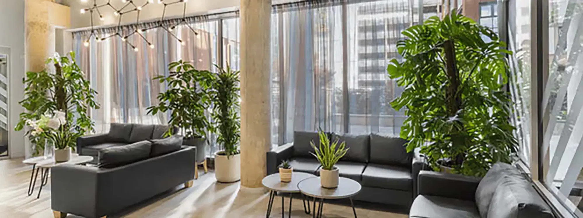 Canvas City Club, Coventry – Amenities
