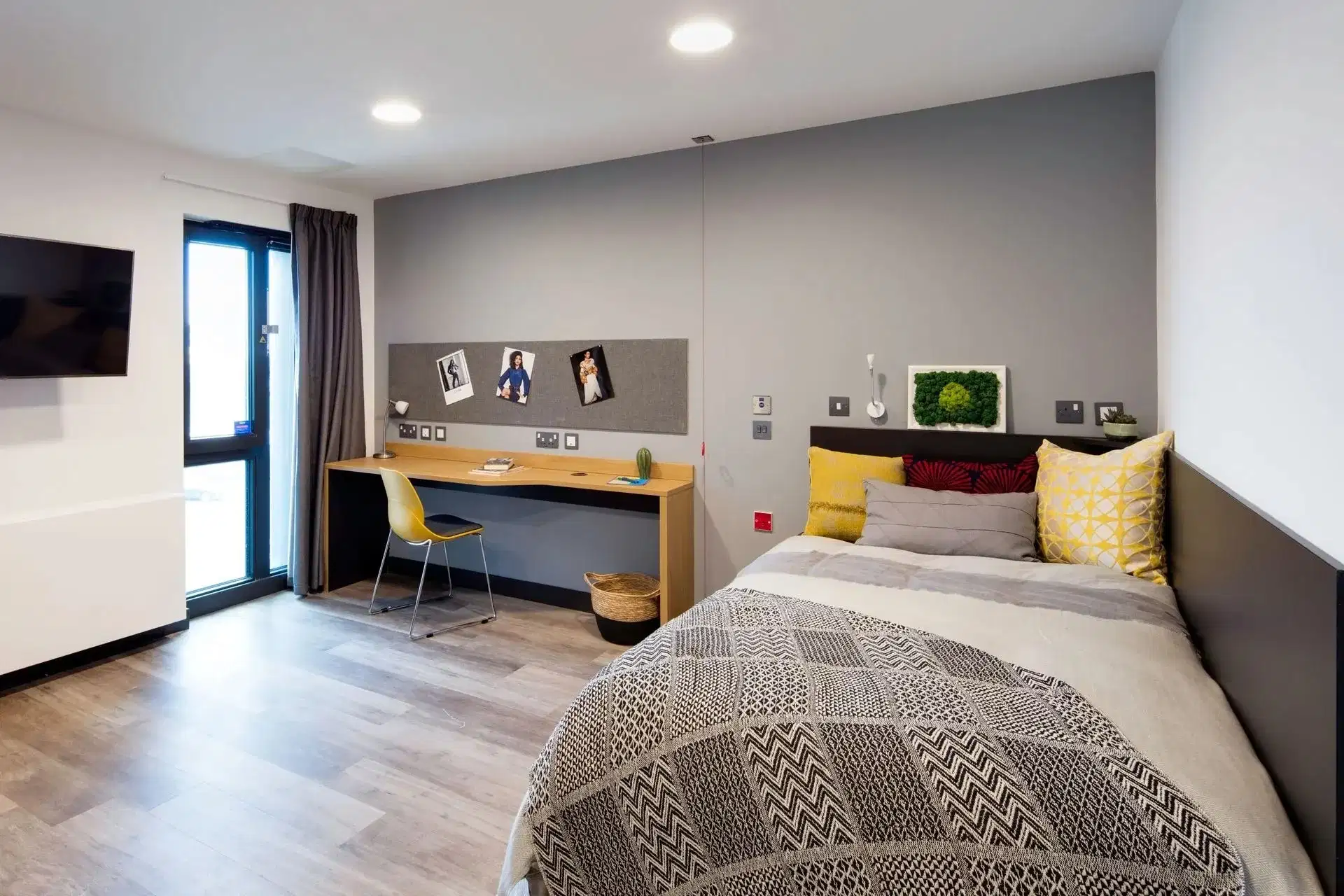Aspen, Dublin