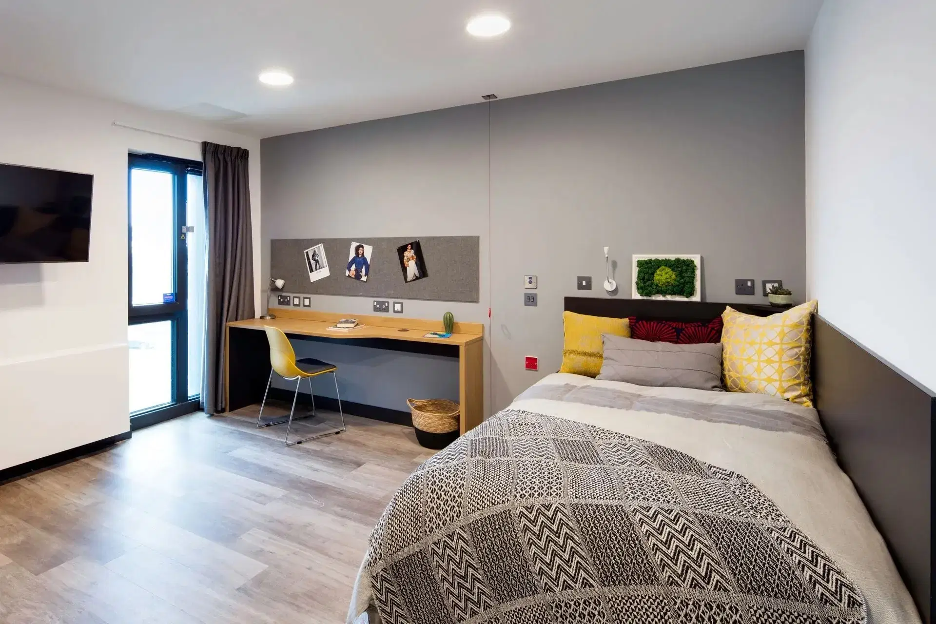 Aspen, Dublin