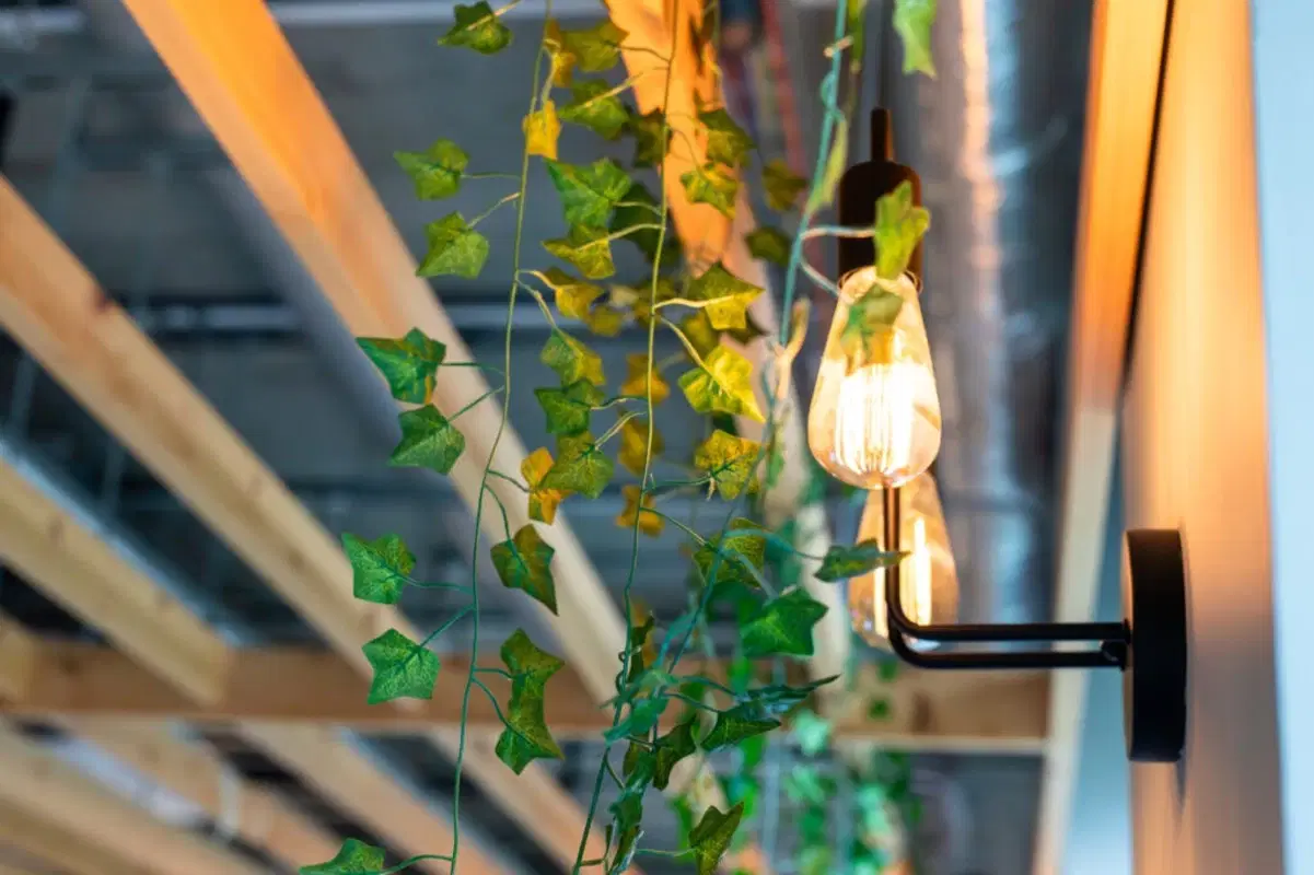 Hythe Mills, Colchester – Common Area