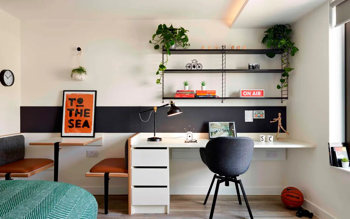 Student Castle Brighton, Brighton – Luckes Studio