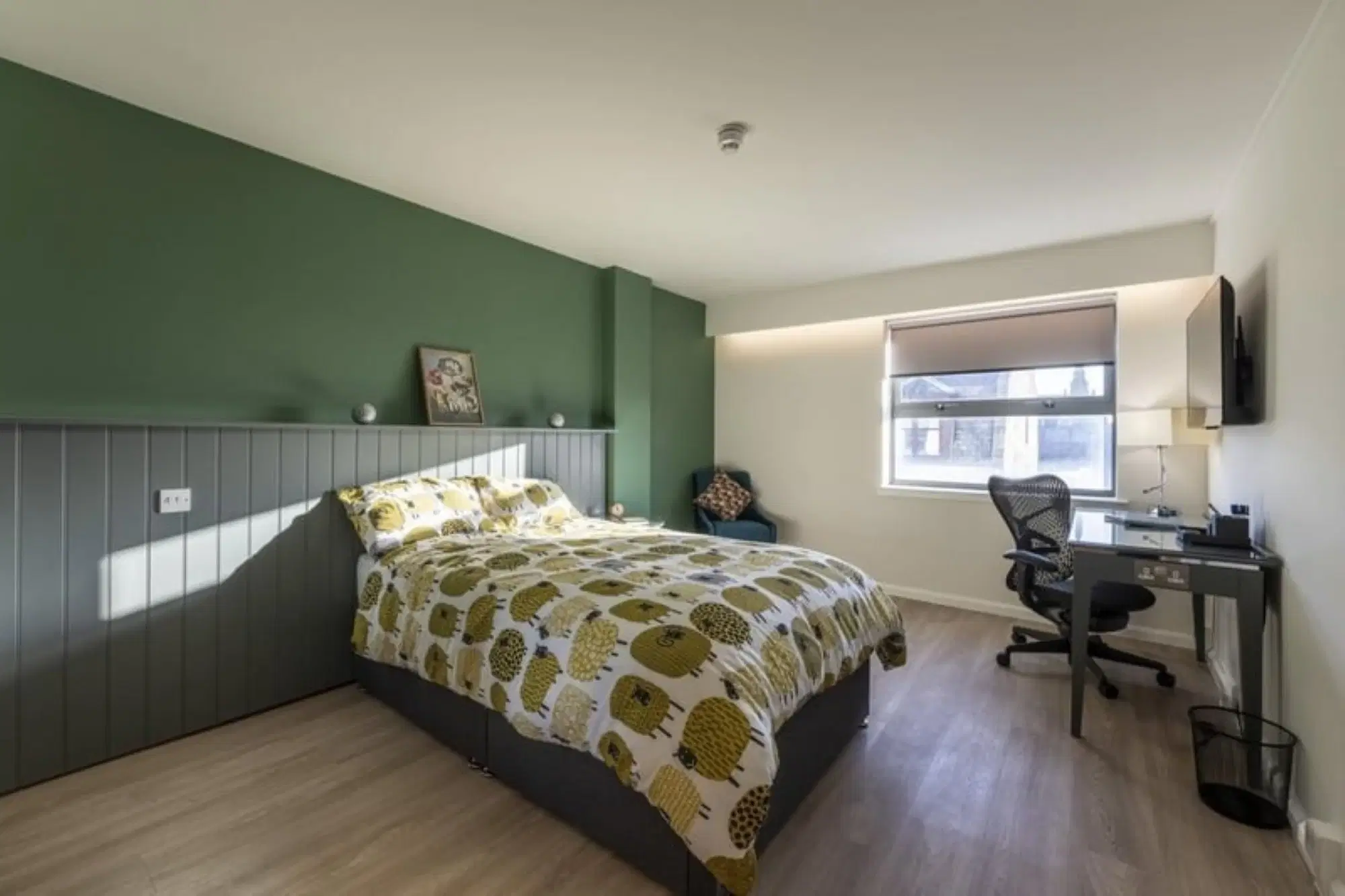 St Andrew Street, Aberdeen – Gold Plus Studio