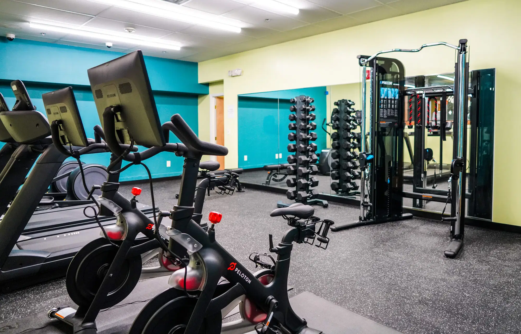 Cayuga Place, New York – Amenities