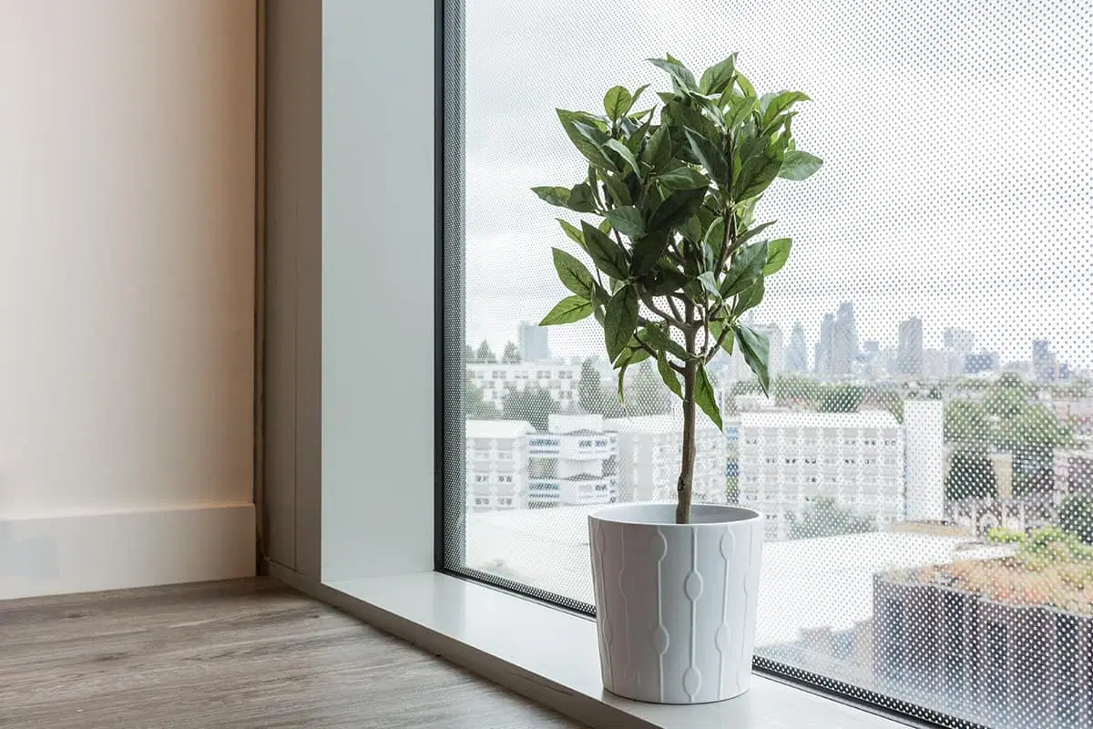 GoBritanya Kings Cross Residence, London – Amenities