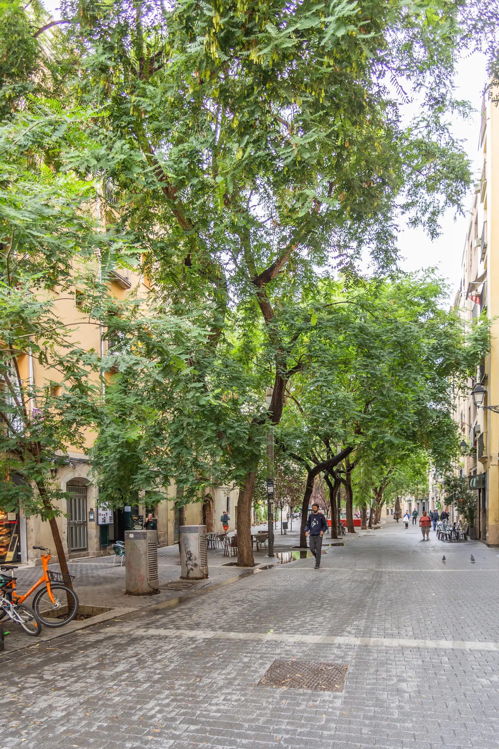 Born, Barcelona – Exterior