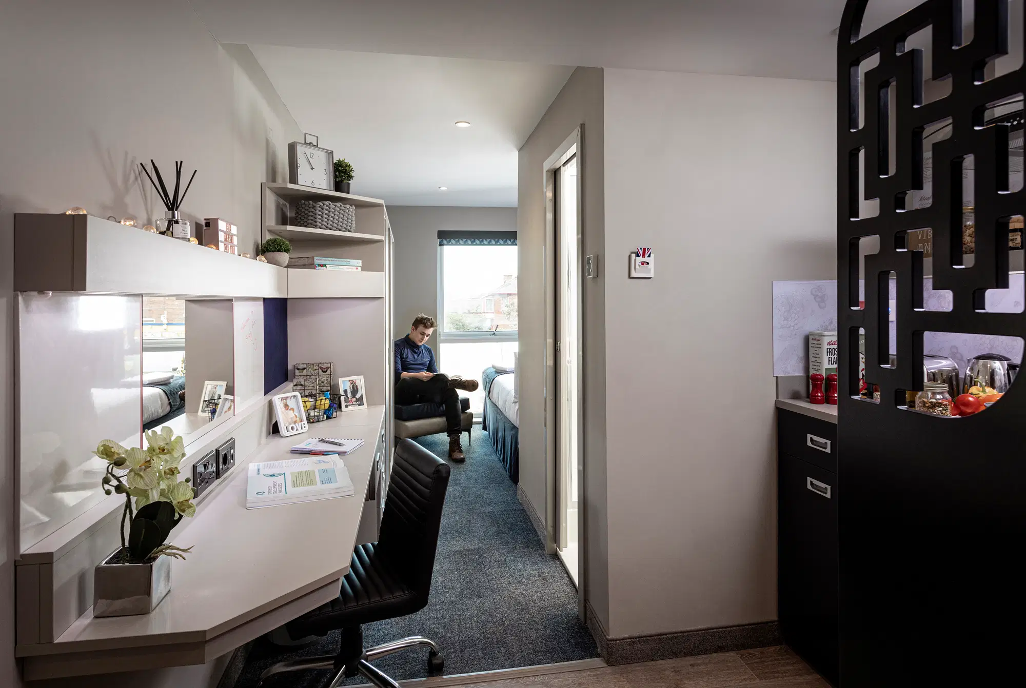 Walnut Gardens, Exeter – Platinum Studio