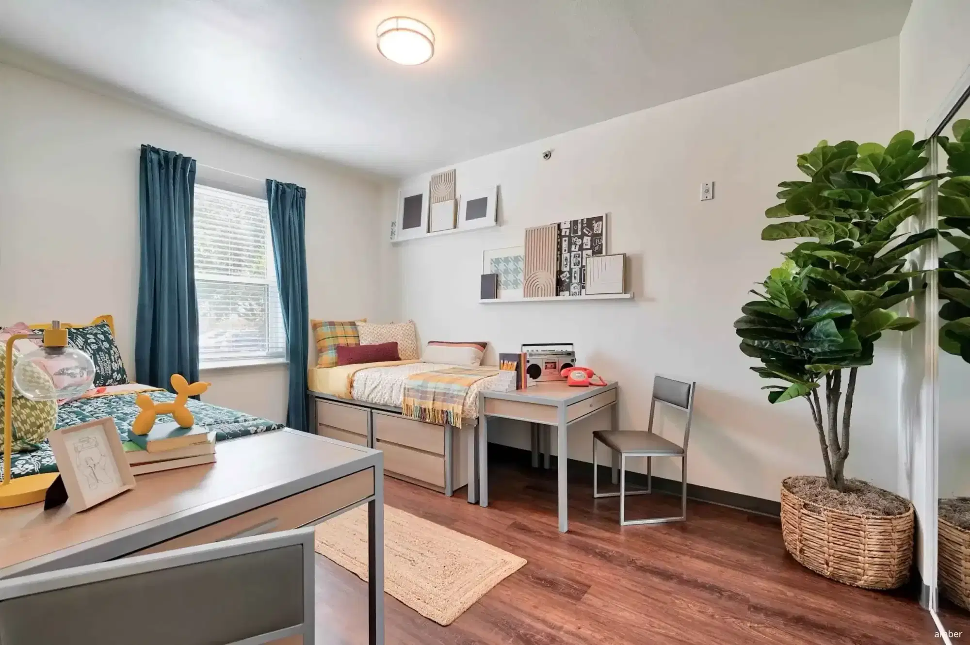Cambridge Hall, College Station – Room in 2 Bedroom 2 Bathroom Shared