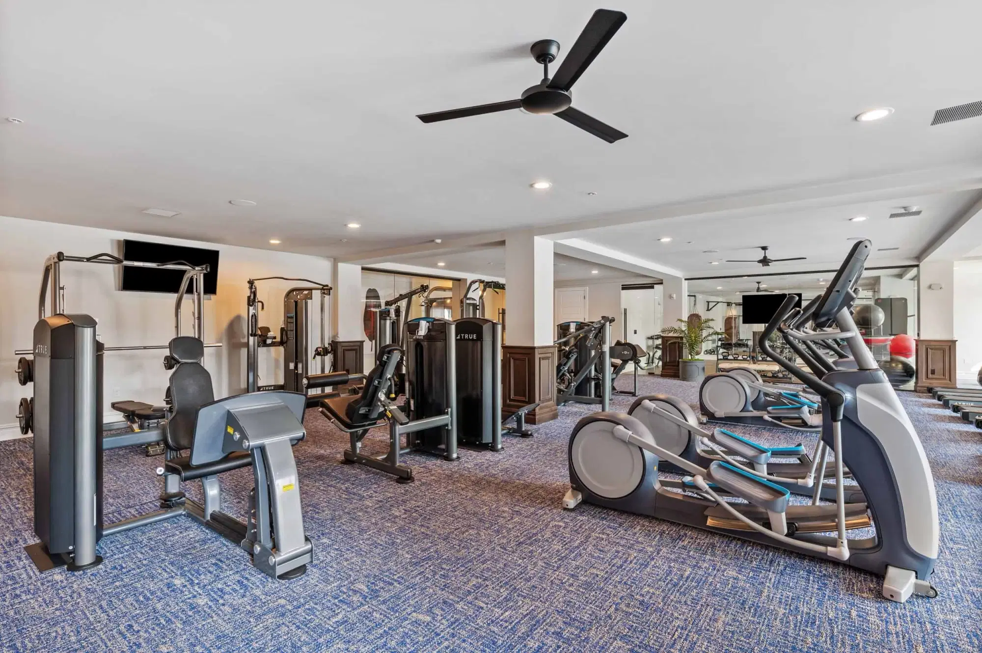 Luxe 88, Columbus – Amenities