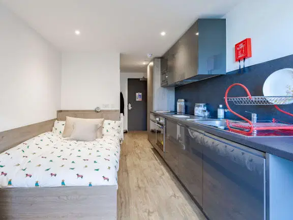 Pavilion Point, Brighton – Premium Studio