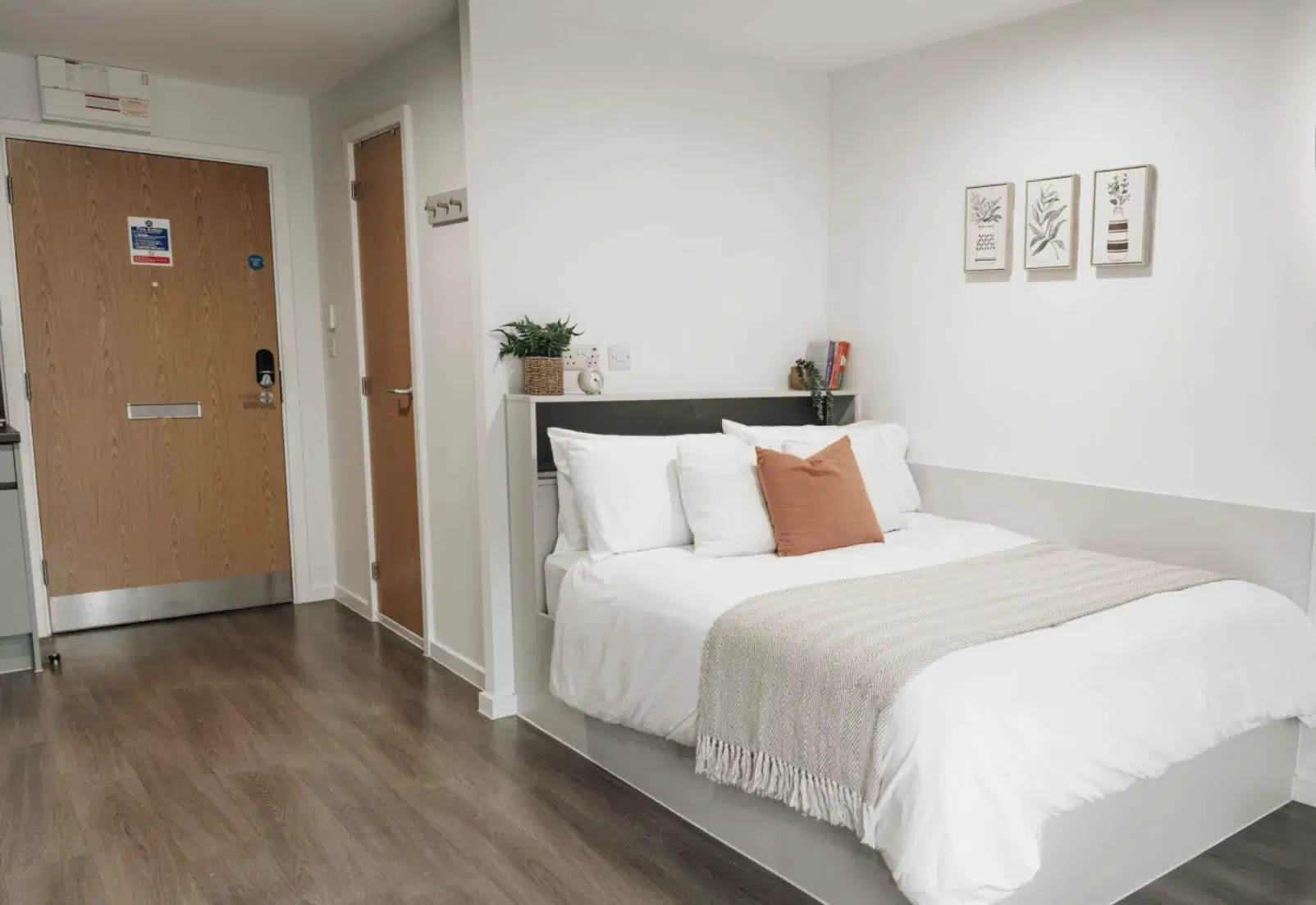Alma Court, Canterbury – Platinum Studio