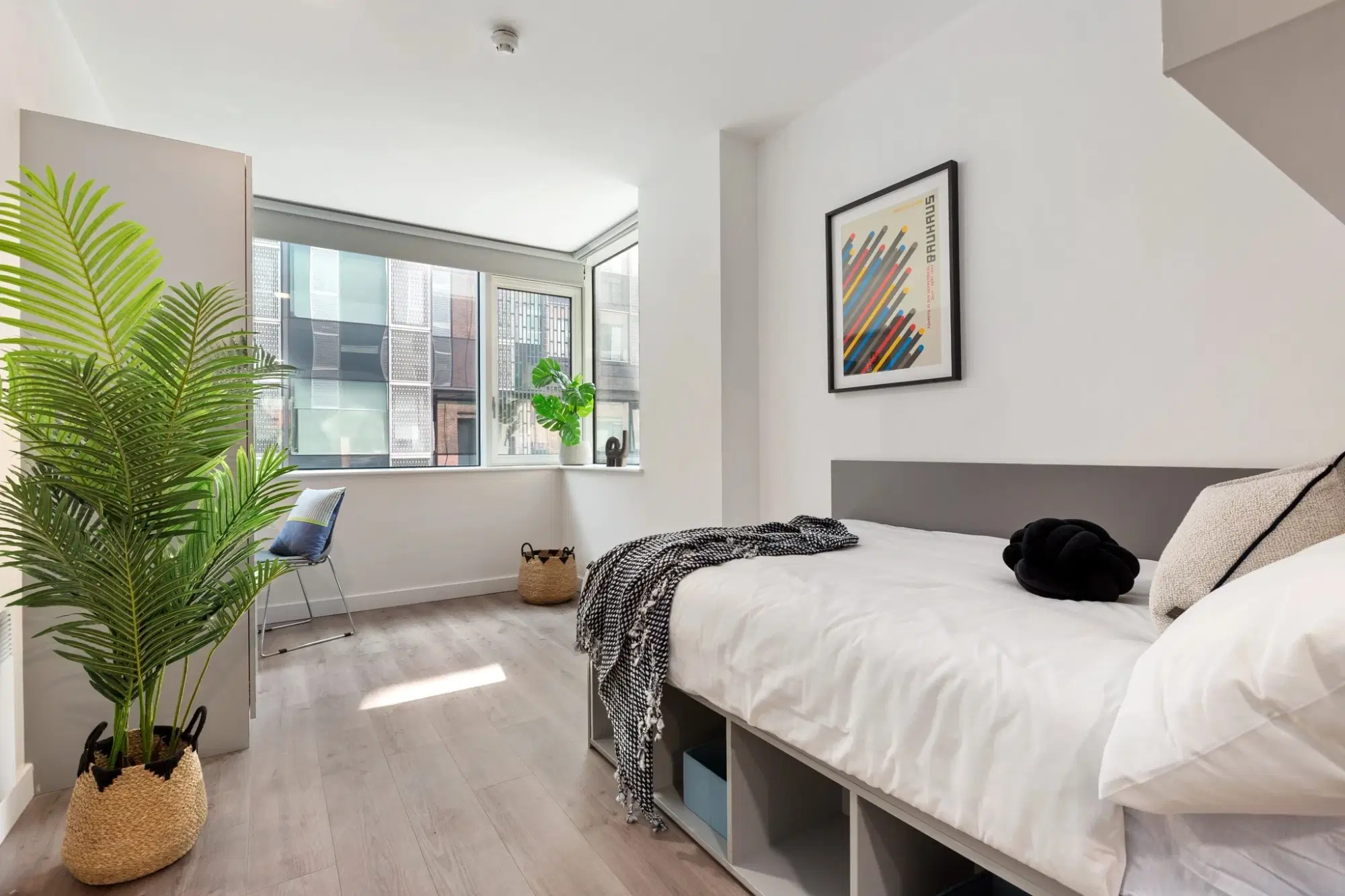 Canvas Point Campus, Dublin – Premium Ensuite