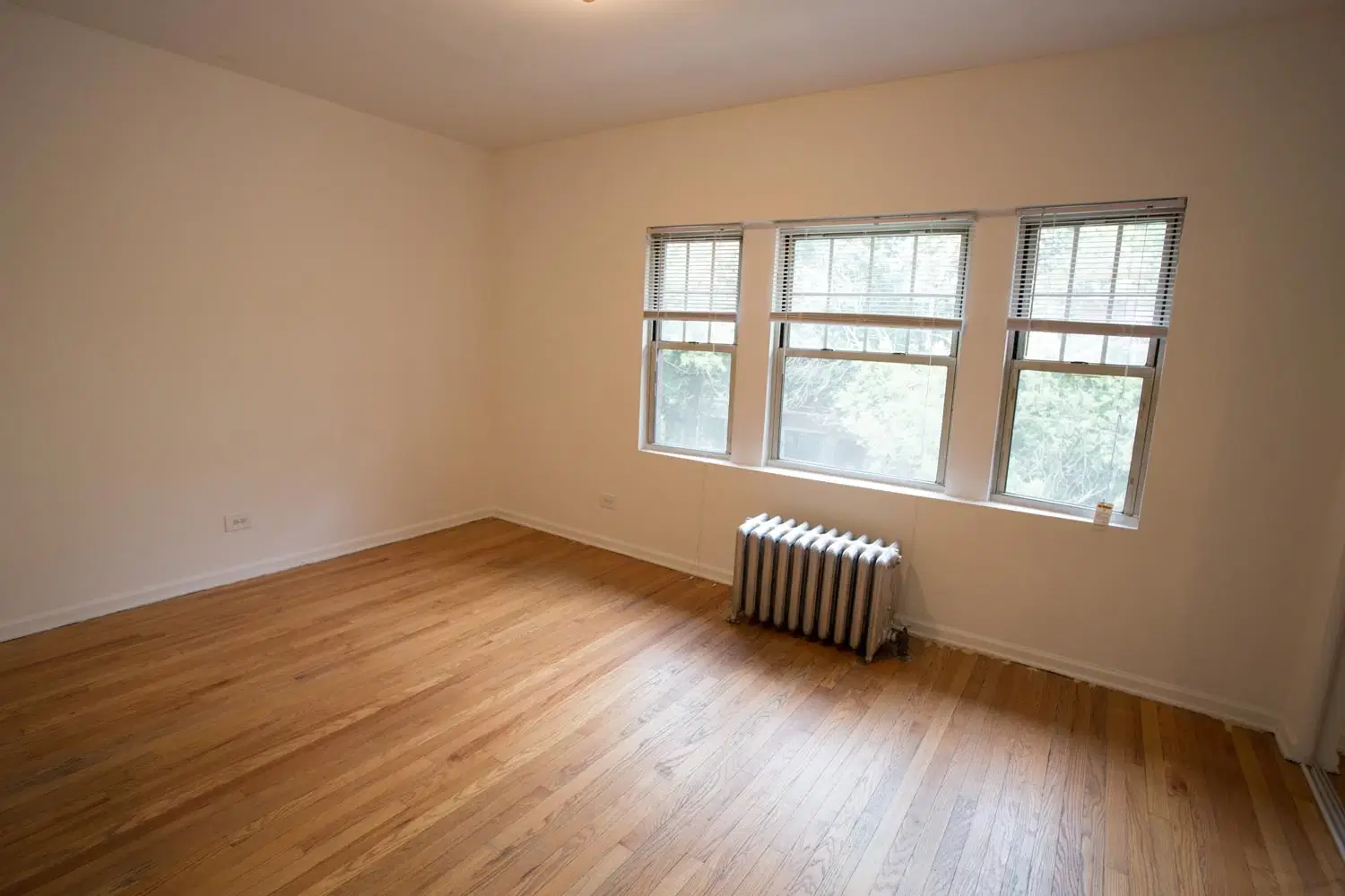 5528 S. Cornell Avenue, Chicago – 1 Bedroom 1 Bathroom