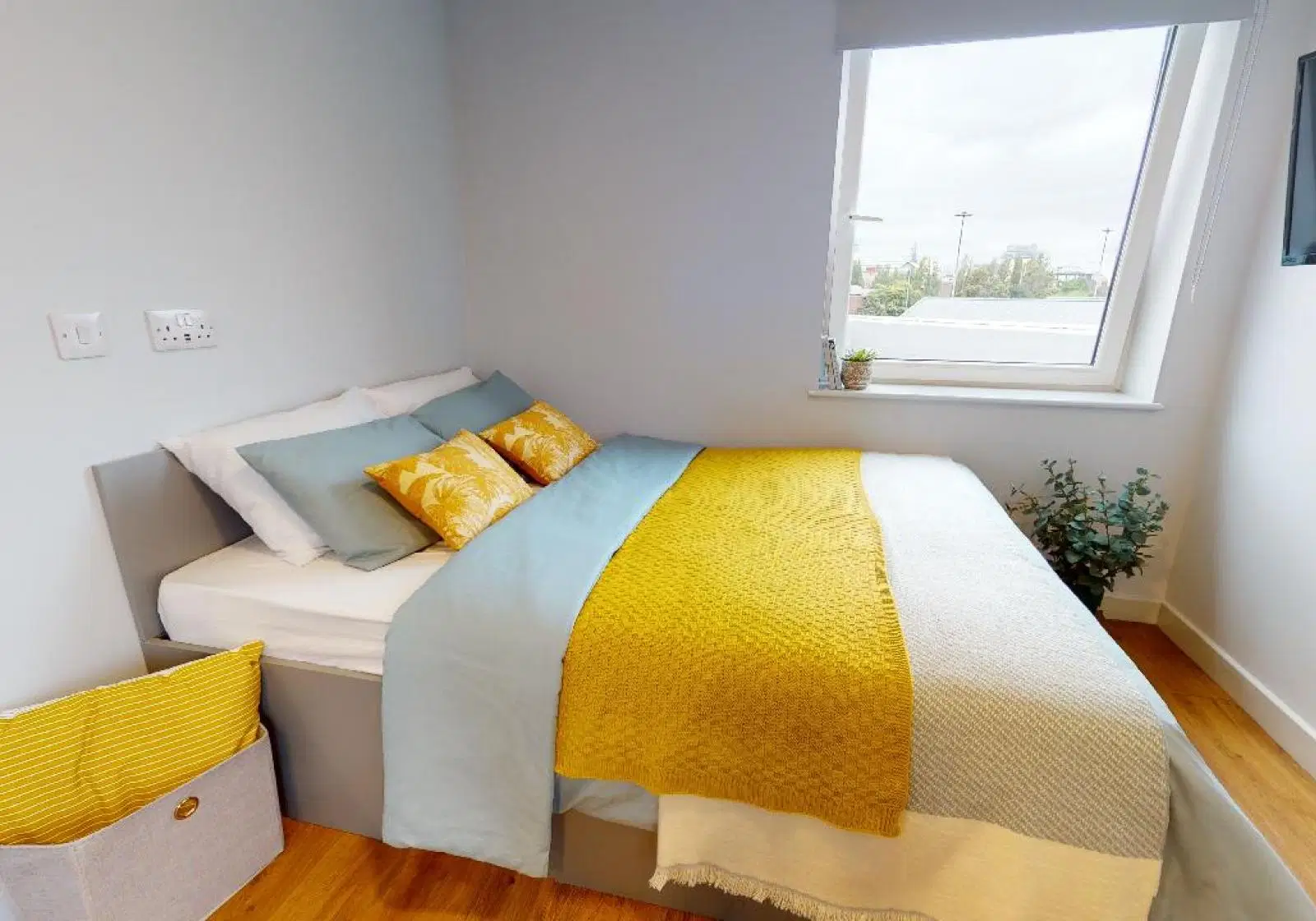 iQ Collingwood, Newcastle – Penthouse Studio