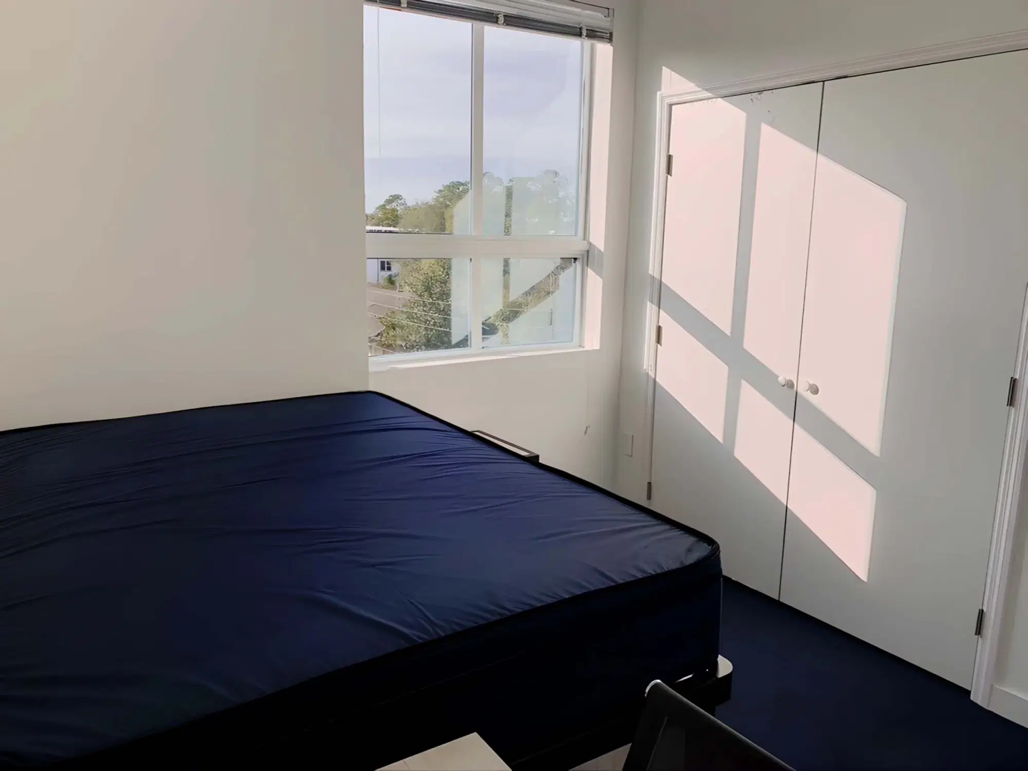 Midtown Apartments, Gainesville – Room in 4 Bedroom 4 Bathroom | D2