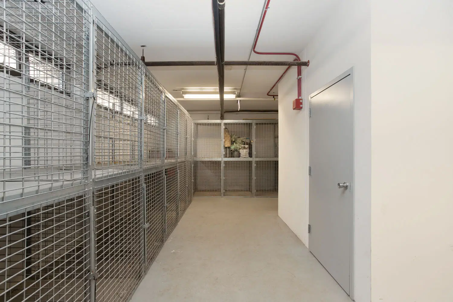 Algonquin Apartments, Chicago – Amenities
