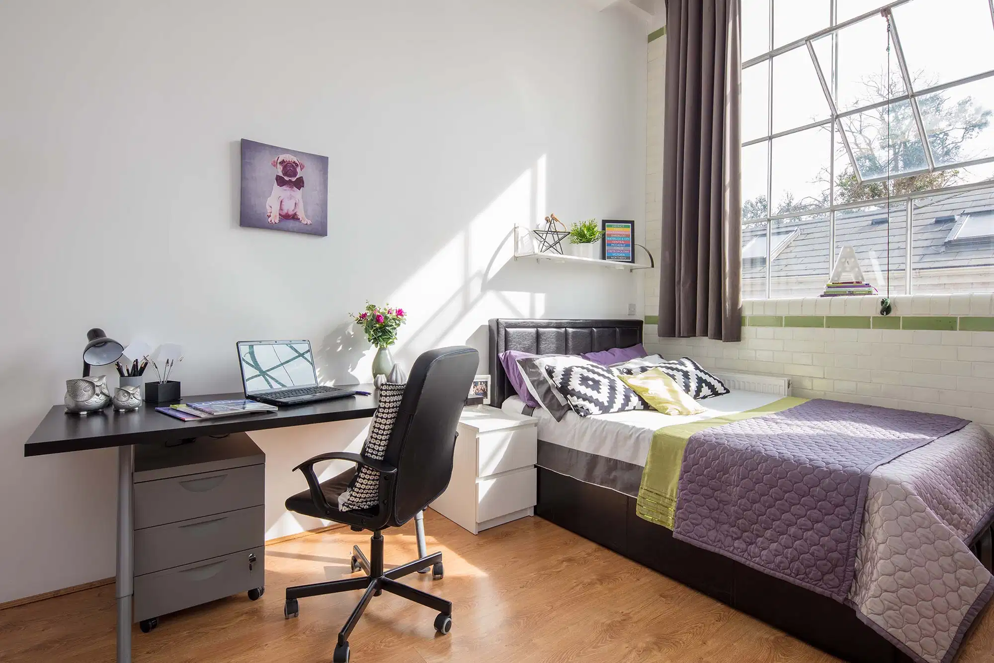 Smart Student Accommodation, London